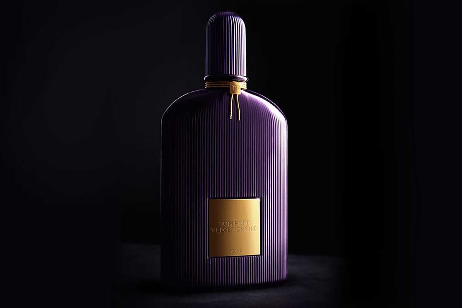 Top Tom Ford Perfumes for Women That You Cannot Miss